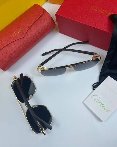 Carteir Rectangular Metal Frame Sunglasses in 2 Colors
