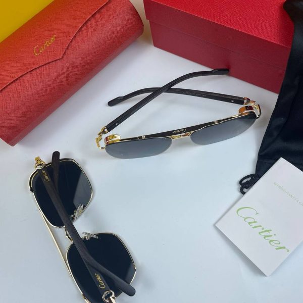Carteir Rectangular Metal Frame Sunglasses in 2 Colors