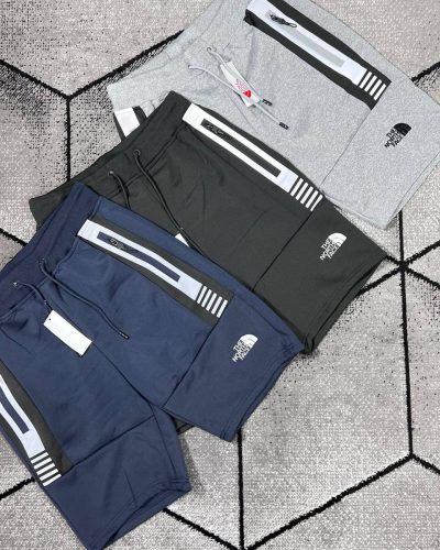 The North Face Regular Fit Shorts in Different Colors