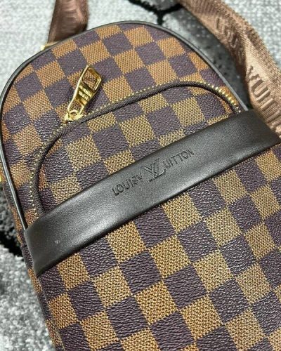 Louis Vuitton Canvas Bag in Brown Color