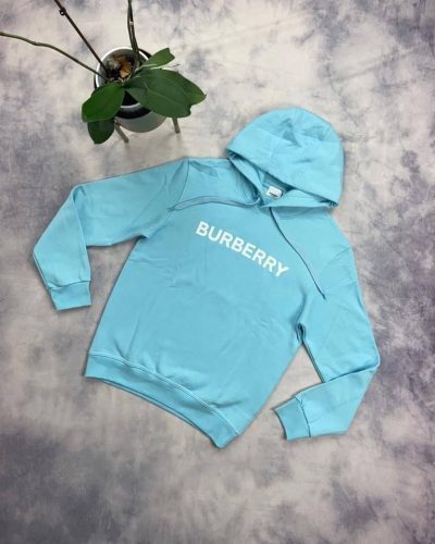 Burberry Hoodie in Blue color