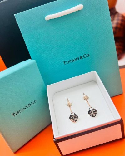 Tiffany & Co. Gold Plating Fashionable Earing