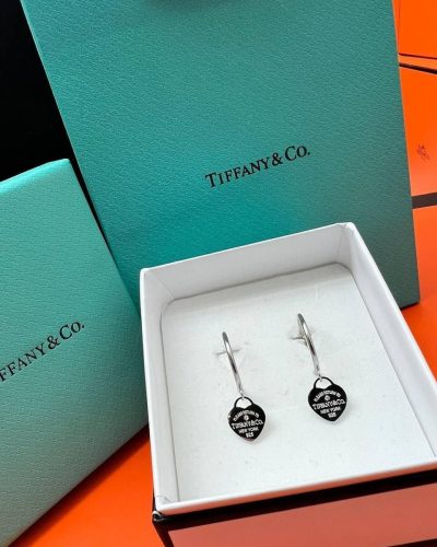 Tiffany & Co. Silver Plating Fashionable Earing
