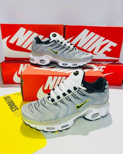 Nike Air Max Plus Grey Shoe