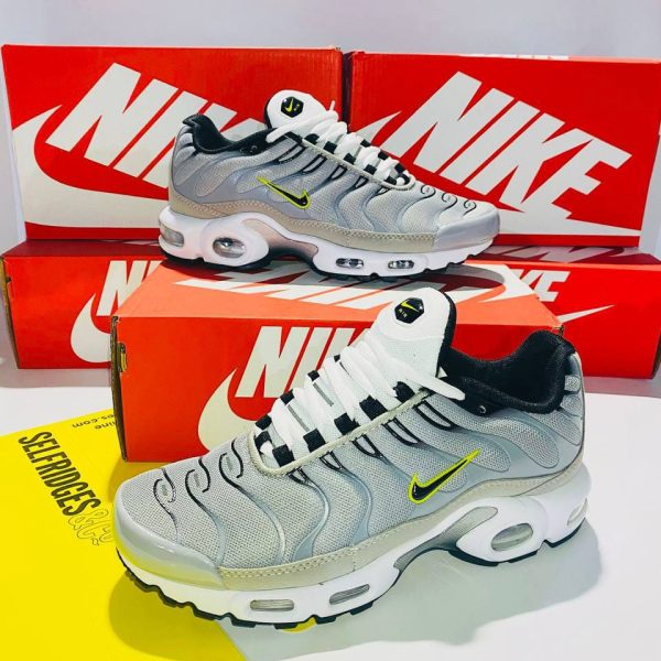 Nike Air Max Plus Grey Shoe