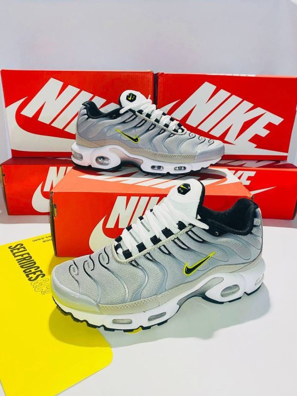 Nike Air Max Plus Grey Shoe