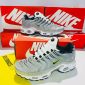 Nike Air Max Plus Grey Shoe