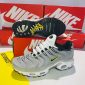 Nike Air Max Plus Grey Shoe