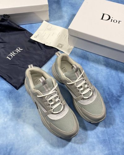 Dior B22 Grey Shoes