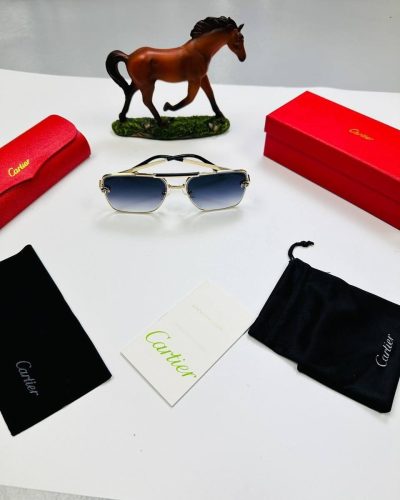 SUNGLASSES