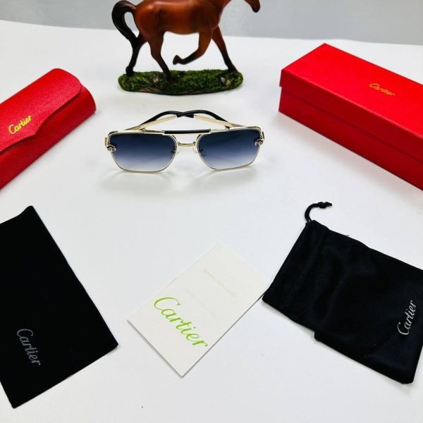 SUNGLASSES