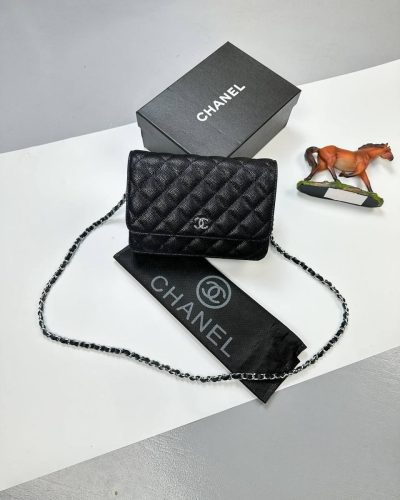 Purse Mini Bag