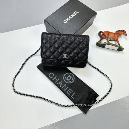 Purse Mini Bag