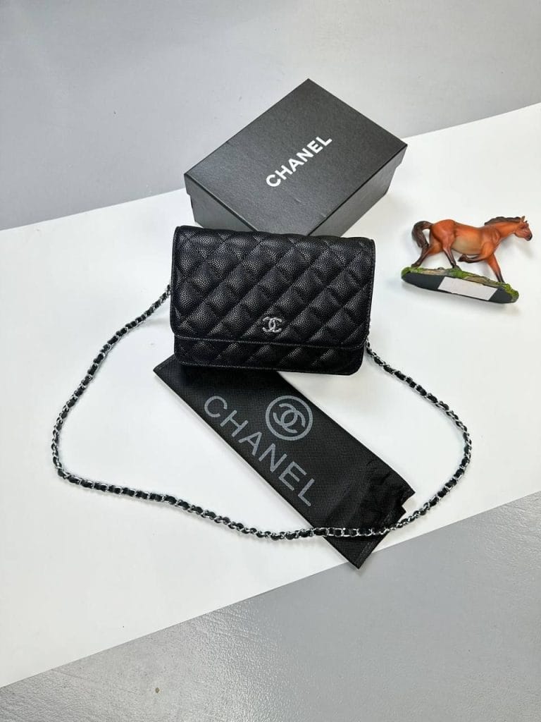 Purse Mini Bag