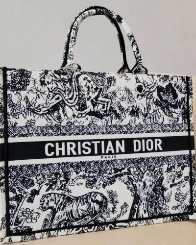 Large Dior Book
