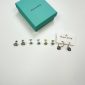 TIFFANY&CO. EAR RING hoop earrings
