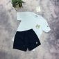 Moncler Swim Shorts & T-Shirt Set