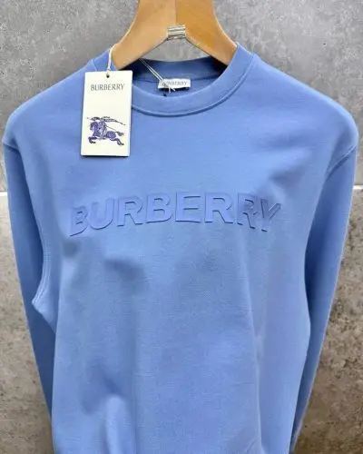 Blue sweatshirt