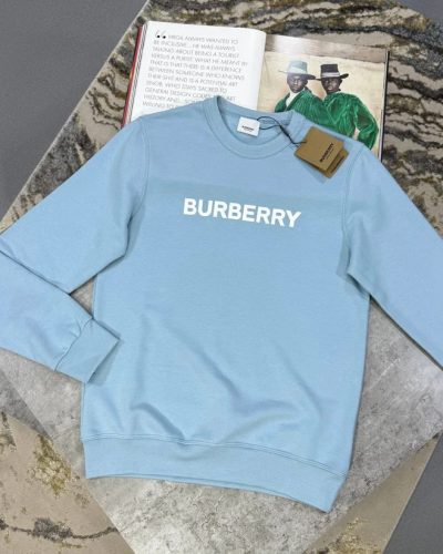 Burberry Logo Print Cotton Sweatshirt AAA Quality Blue