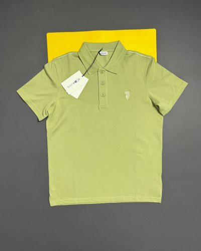 Burberry Logo-Embroidered Polo Shirt for Men – Green Colour