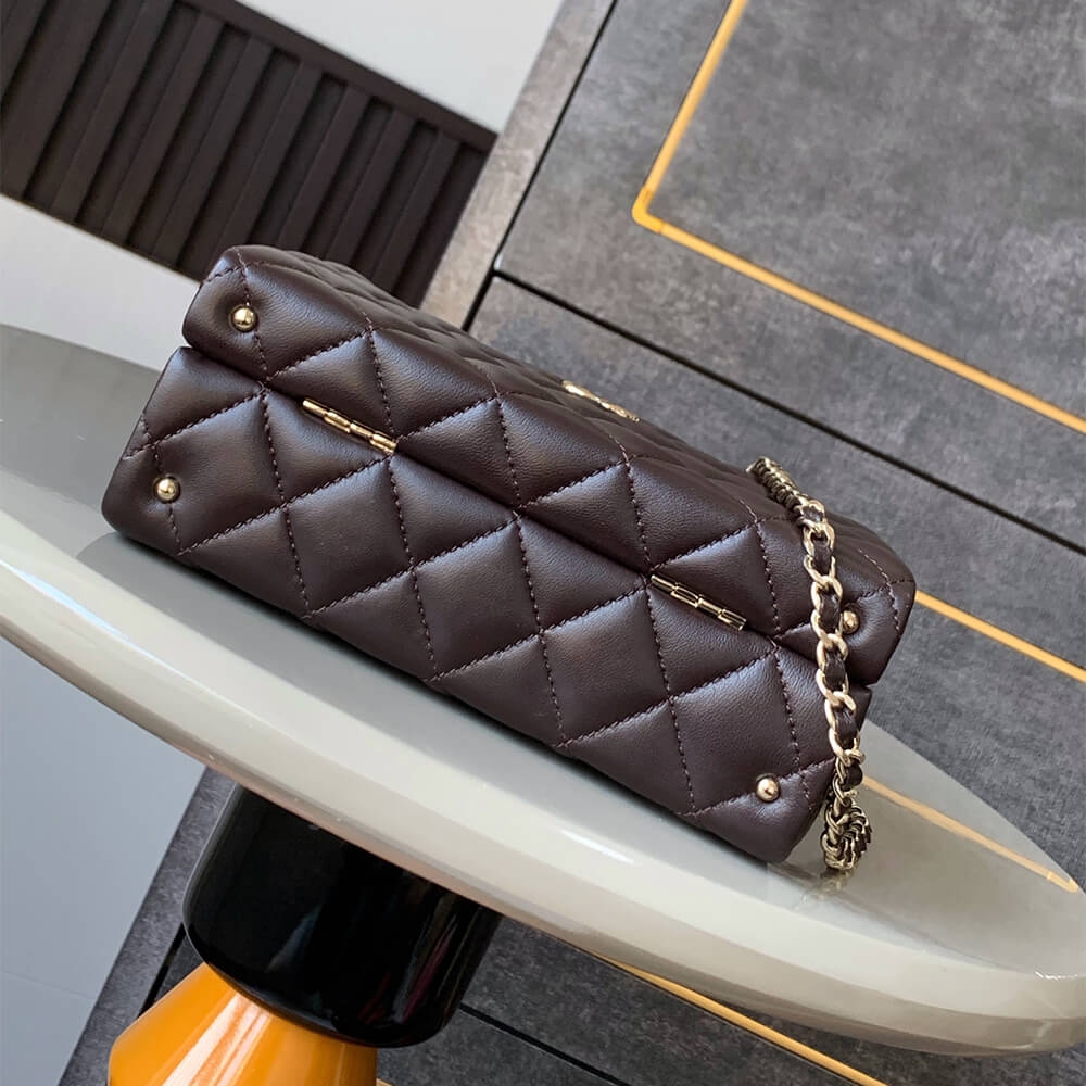 Chanel Small Box Pack AS5167 – Dark Brown - Image 4