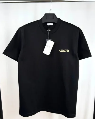 Christian Dior AAA Quailty Logo T-Shirt