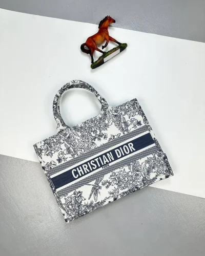 Christian Dior Large Book Tote Toile de Jouy Embroidered Bag