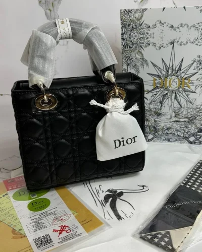 Dior Lambskin Cannage Bag with Champagne Gold Hardware