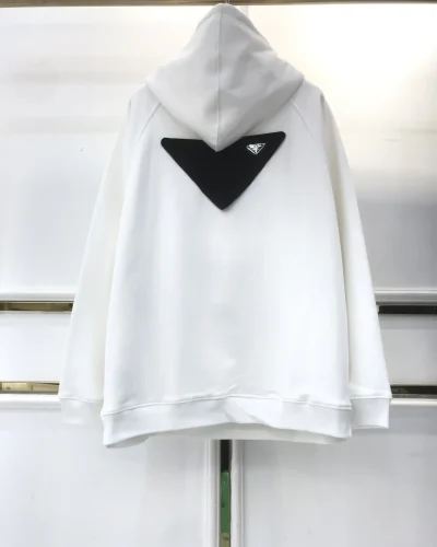 Echo Echo AAA Quailty Unisex Oversized Hoodie In Two Color white back